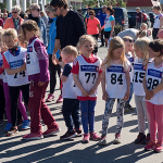 2015-07-05-melbulopet-0827-660-440