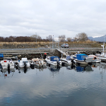 2015–10-23-melbu-batforening-pira