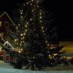 2015-12-23-julestemning-melbu-juletre