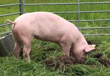 Tiden er inne for å kutte subsidiene