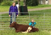 Bønder i Vesterålen vil ha felles landbrukskontor