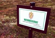 Kronikk: Klima og forvaltning av miljøet