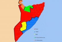 Tvil om UDIs språktest av Bushro Said Jama