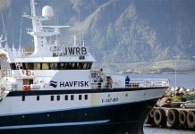 Pliktavvikling et svik mot fiskerisamfunnet havfisk kongsfjord tråler fiskeri