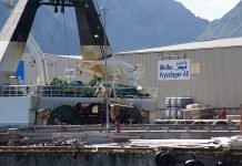 Ordfører: 100 millioner er «fjottpenger» havfisk kongsfjord tråler fiskeri