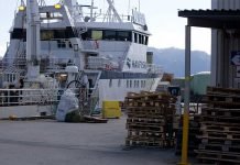Rederne mener regjeringens forslag er et stort tilbakeskritt havfisk kongsfjord tråler fiskeri