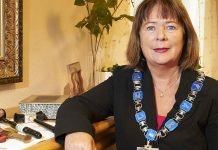 Kronikk: Ansiktsløs og overbetalt – eller viktig del av folkestyret? sonja steen arbeiderpartiet