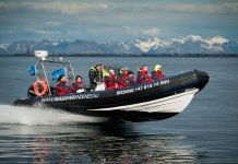Andøy stiller sterkt i turistkonkurranse sea safari andenes