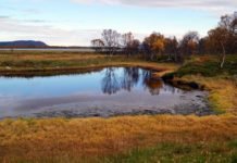 Lager forvaltningsplan for naturreservatet