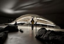 Best Arctic Group satser på The Whale