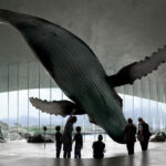 the-whale-utstilling