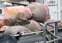 Ulovlig laksefiske på fremmarsj, men ny strategi gir resultater