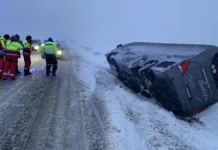 Buss av veien på E10