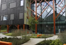 – Synd at de skyldige ikke blir tatt