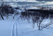 Nye funn: Fysisk aktivitet enda viktigere enn antatt