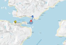 Eldre mann døde i alvorlig ulykke