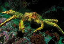 Hemmelig etterforskning siden i fjor sommer