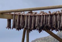 Største endringene i Lofoten på mange år