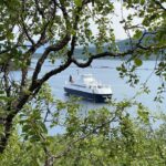 IMG_9704 – stort