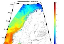 2025 var et uvanlig varmt år på norskekysten