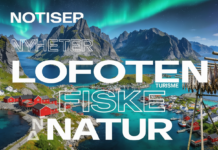 Nordland satser på sirkulær plastindustri