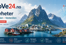 Ny bjørn fotografert i Saltdal – søker om ny skadefelling