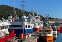 Myres vekst tåler ikke mistanke om fiskerikriminalitet